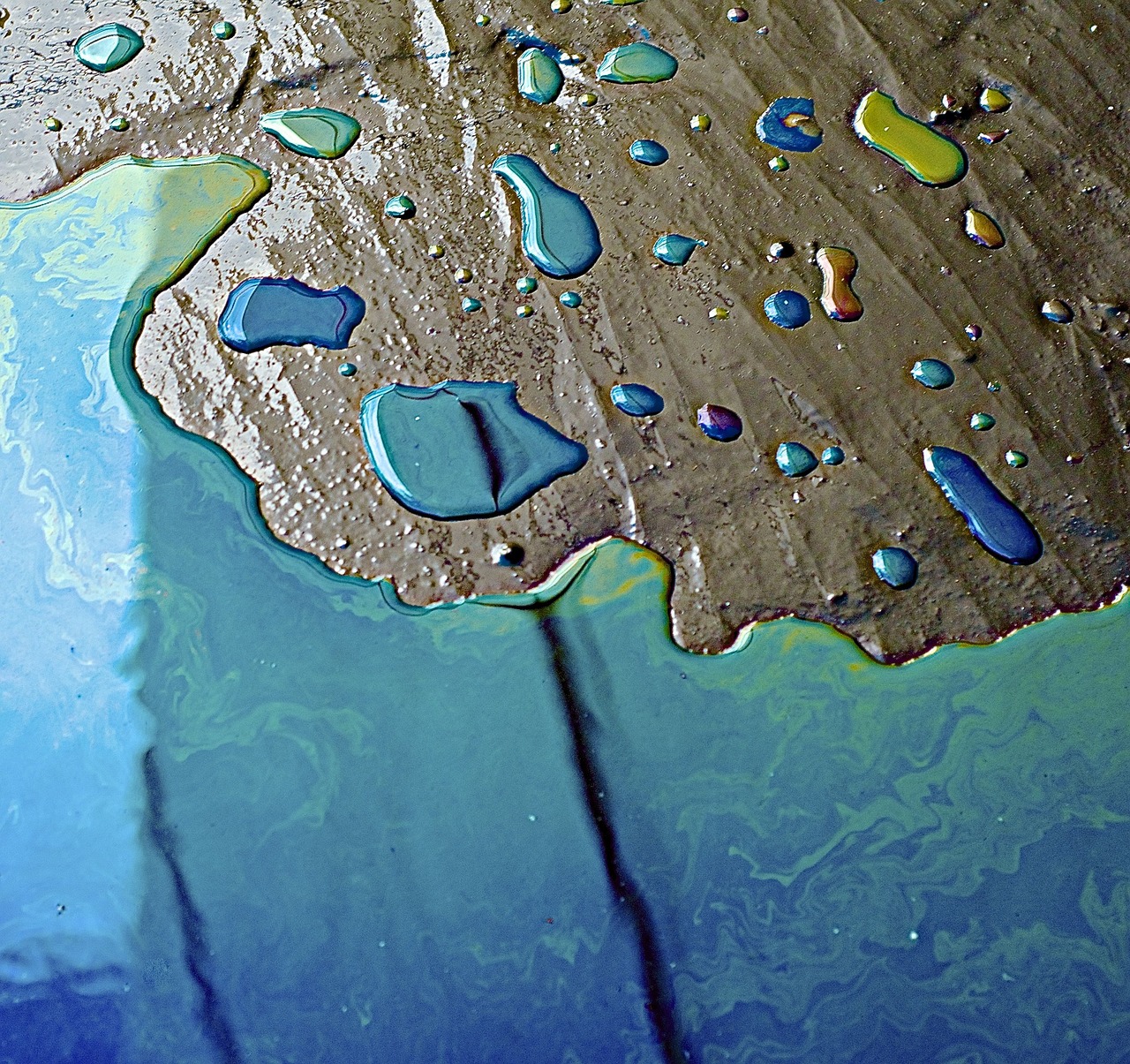 Plastic Pollution - Problem and Solutions